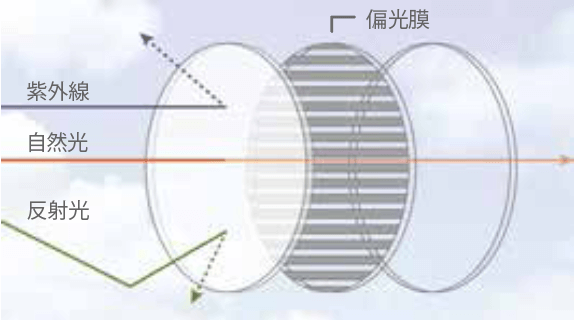 ポラライズド偏光レンズ原理と特徴